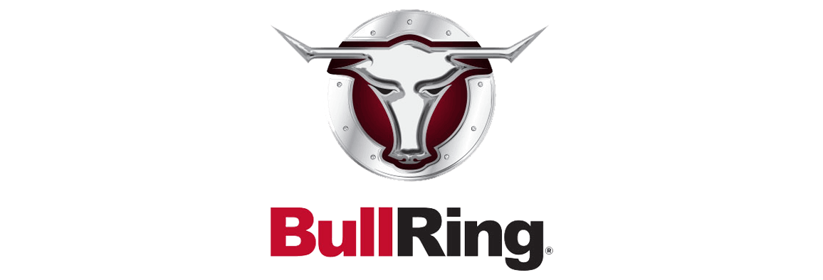 Bull Ring Logo