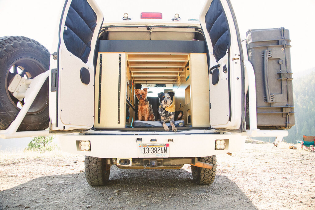 A white vehicle with open doors reveals two dogs inside, one sitting on a platform and the other peeking out.
