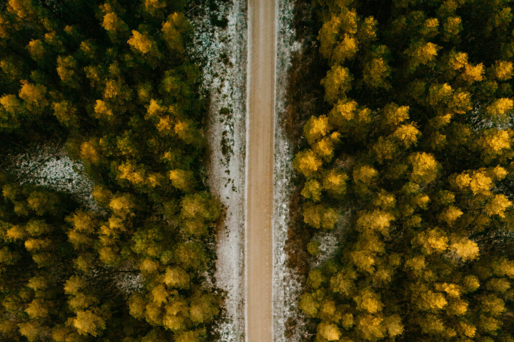 Spring Overlanding Setup